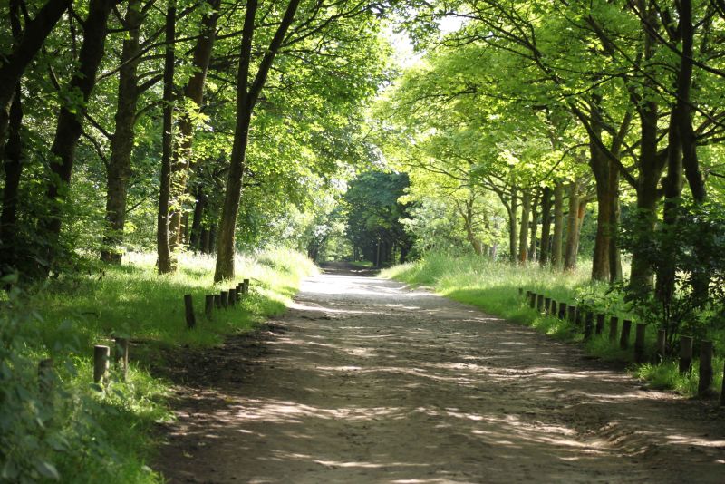 rivington.jpg